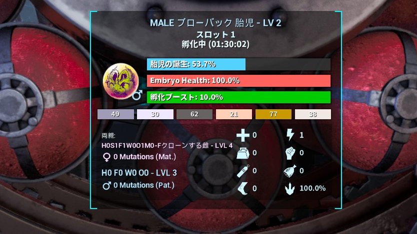 昨晩は、🐰S1残しLV1リーチ（ただし雄）が産まれ 一旦諦めのLV4雌