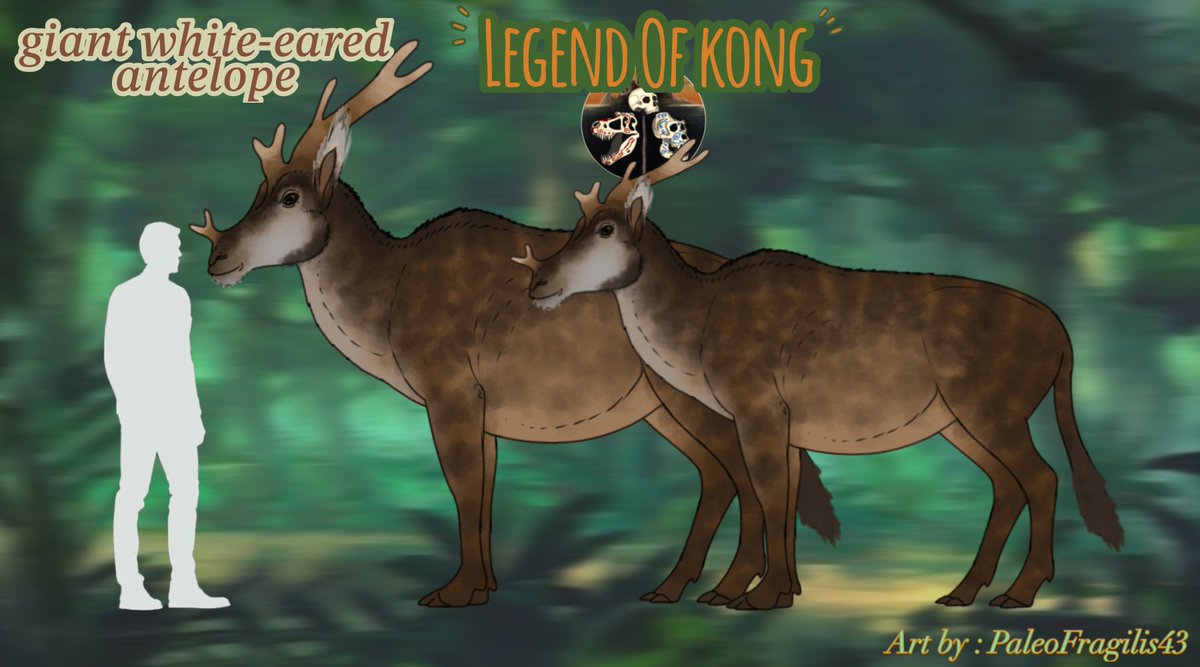 PaleoFragilis43 (open commissions) tweet media