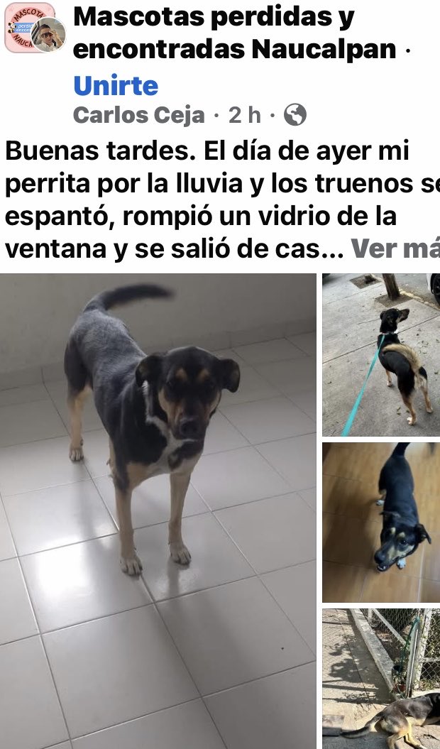 Dra Alejandra tweet media