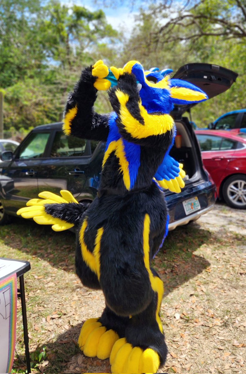 DyoTheDutchie's tweet photo. I honestly love suiting outside!
Pros: Fresh air, amazing photos, room to run around
Cons: Feeling like I am one degree away from becoming a rotisserie chicken

Stay hydrated out there! 💙

#Furry #Fursuit #Fursuiter https://t.co/AUPHQRerwD