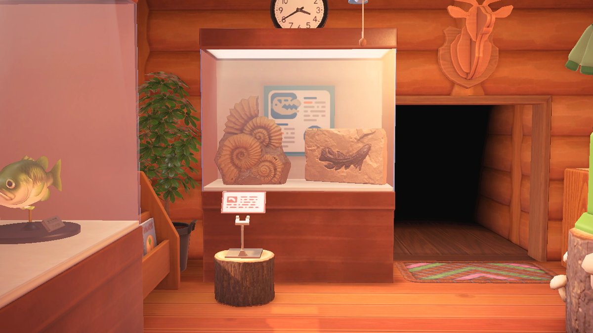 RaeFaeACNH's tweet photo. Did you know that dinosaur fossils can't be found in most of the central US? 🤔🦴

During the age of dinosaurs, a massive body of water known as the Western Interior Seaway split the continent in two. That's why the only Mesozoic fossils you'll find here are fish!
#acnh #fossils https://t.co/5EW3gLXB2B