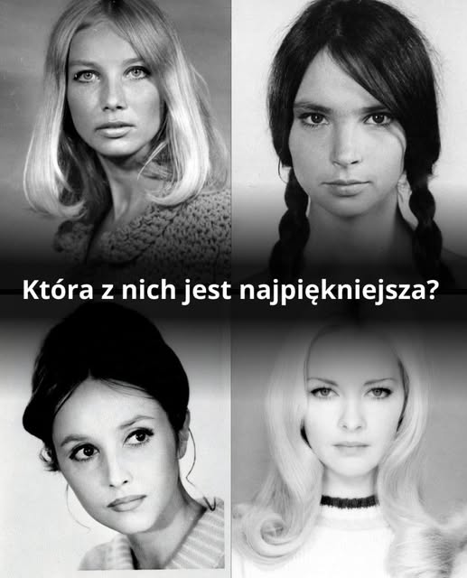 Bruno Jasieński tweet media