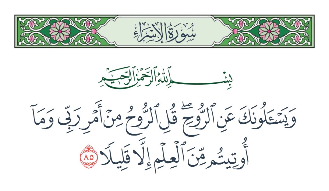 muthhll's tweet photo. @3ajel_ksa https://t.co/wUJ5rAfwLH