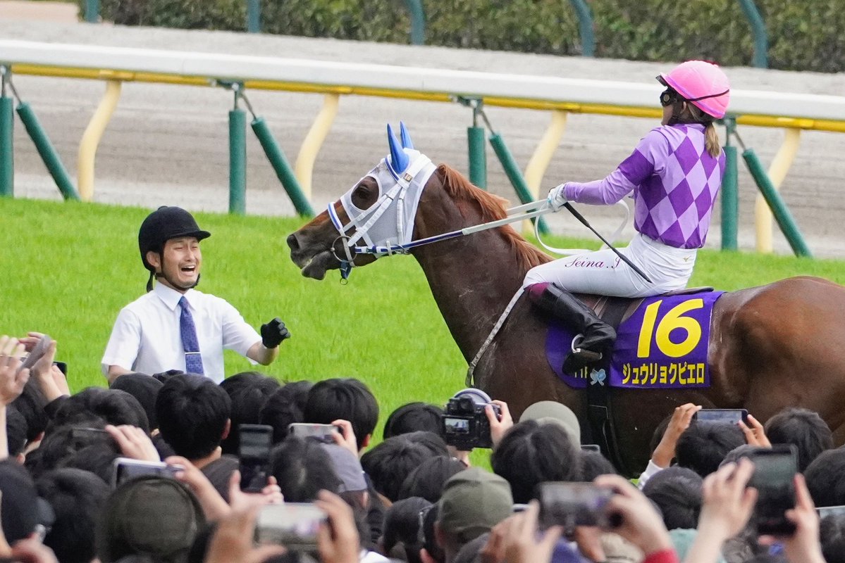 ９月のネコ tweet media