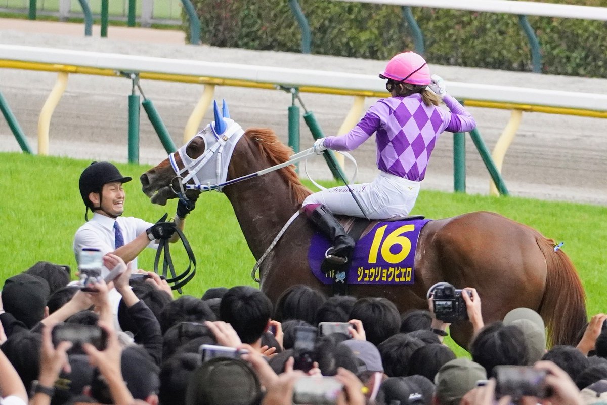 ９月のネコ tweet media