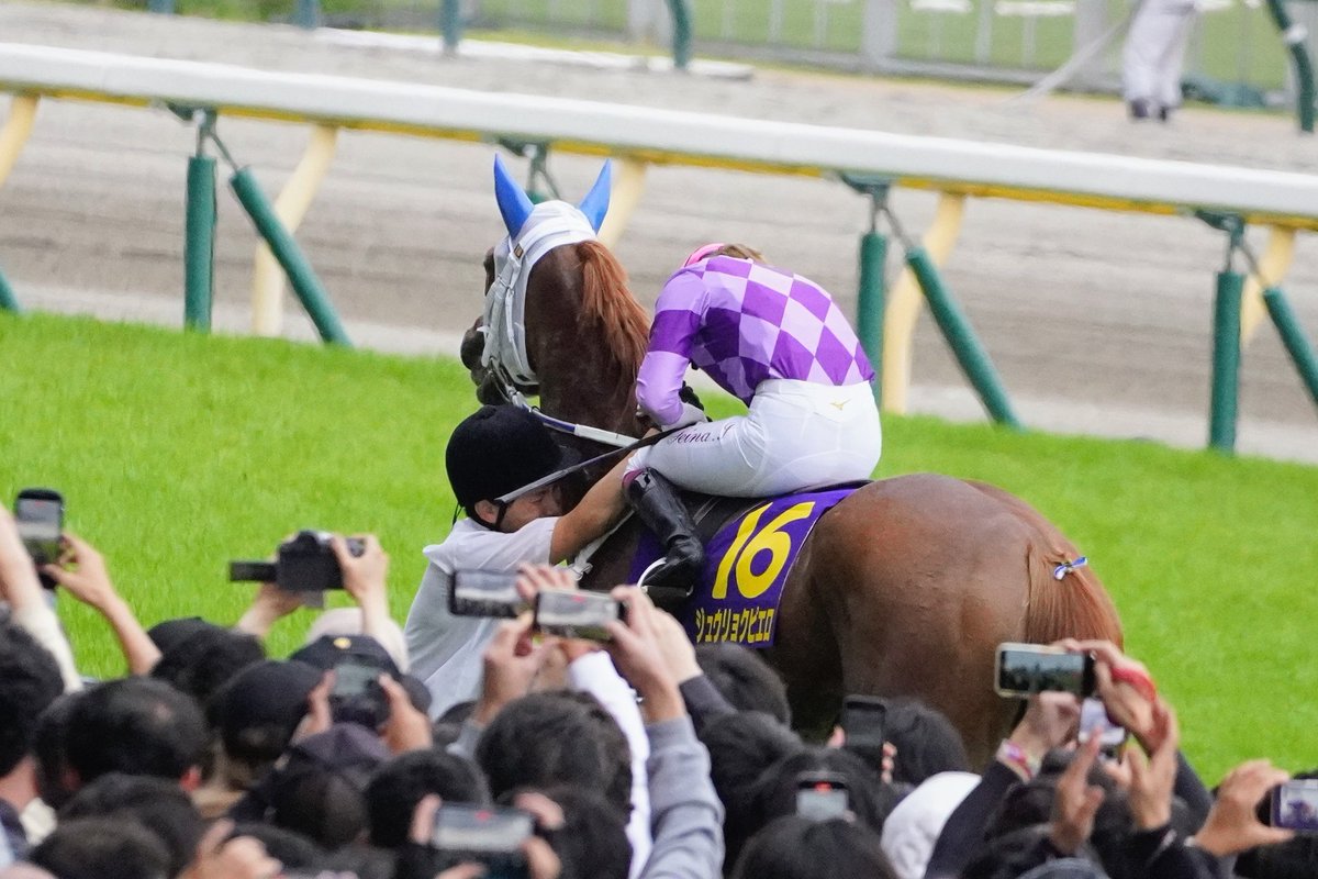 ９月のネコ tweet media
