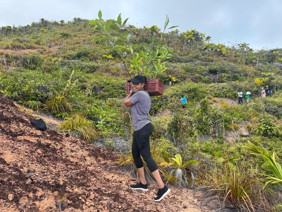 UNDPAfrica's tweet photo. Healthy planet, thriving communities.

Across #Africa, communities are restoring ecosystems and livelihoods with support from @theGEF . 

Thanks to partners for the support.

 Read more ahead of #GEFAssembly2026➡️ https://t.co/2WjUTjVvCV

#FinanceTheFuture
#ForPeopleForPlanet https://t.co/DRXnymncBs