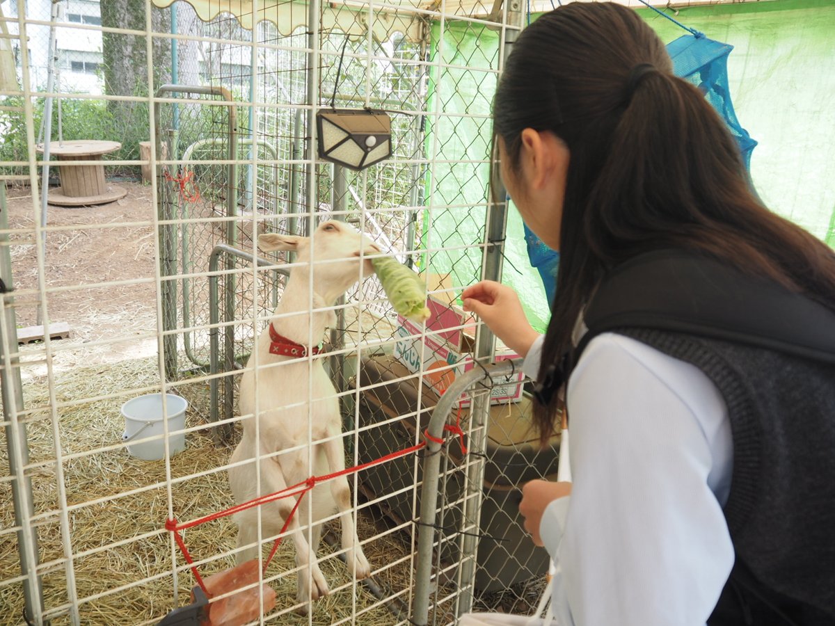 jcsw_pr's tweet photo. 【お知らせ】

2026年5月26日(火)、川崎市立川崎高等学校が来校しました🏫
ヴィラーグ准教授による大学概要説明、在学生によるキャンパスツアー、内田教授による模擬授業を体験していただきました。

本学では高校からの大学見学を積極的に受け入れています
▼詳しくはこちら
https://t.co/MWmsPZADpa https://t.co/Ff3oF1wBWs