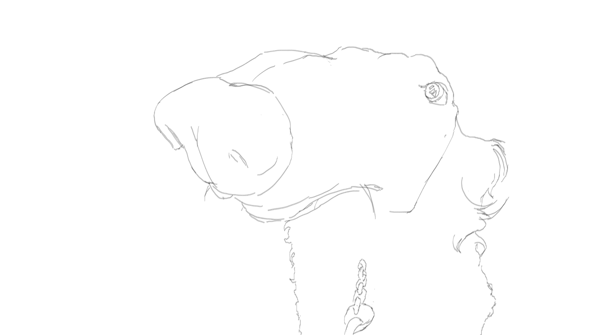 FishKen0's tweet photo. todays warmup https://t.co/wdM5izMf4h