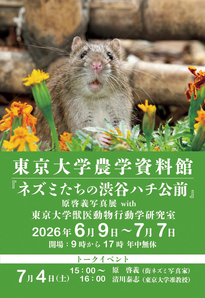 UTokyo_Agri's tweet photo. 【イベント】農学資料館特別展示『ネズミたちの渋谷ハチ公前』原啓義 写真展
https://t.co/ahwqD81K84
#東京大学 #農学部 #ネズミ #農学資料館 #ハチ公 #写真展 https://t.co/nO6jHcB6Jb