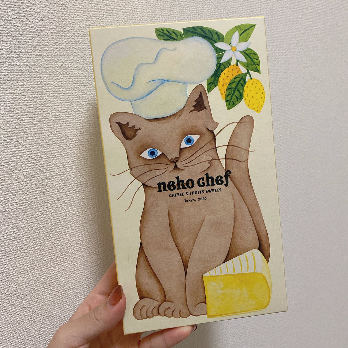 はち🍀数字コスメ (@HatibeuTy) / Posts / X