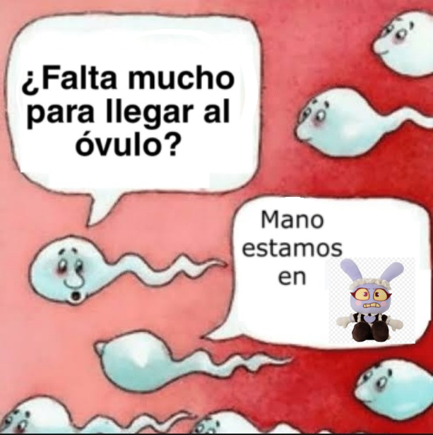 (❌Spoiler🚫) Zakkon 🇵🇾💫🎀💜 tweet media