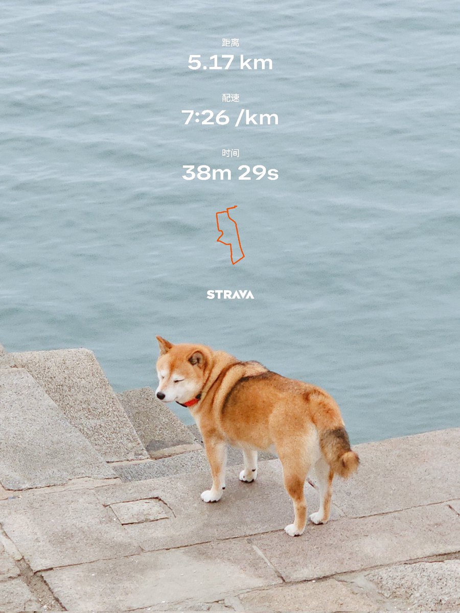 wsgao's tweet photo. #running #5k https://t.co/QzuVmaR6bS