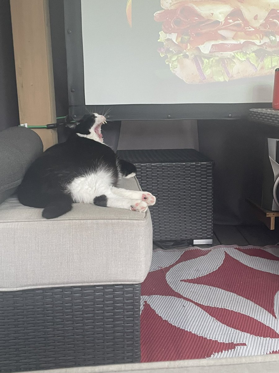 TehaniMott's tweet photo. Lazy days of summer are here! #bigyawn https://t.co/VsT0YlEl9v