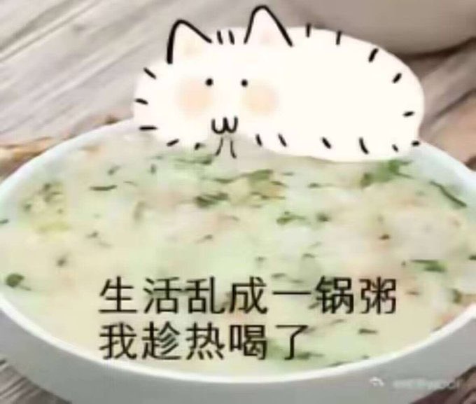 Fox177870886's tweet photo. 日常碎碎念ing

最近一直能看到各种女权问题在各大平台上疯狂的吵架，虽然是女权问题被重视是好事，但是总感觉现在的走向越来越诡异，就是那种从一个极端蹦到了另一个极端的感觉（不是指那些阴间标题新闻，那个活该挨骂）

就是觉得，真正的自由不应该是有选择的权利吗？完全可以选择自己想过的人生

想当事业女强人就当事业女强人，想和伴侣腻腻歪歪过日子就腻腻歪歪过日子，想躺平就躺平，不管选择怎么样的人生都不应该被指责

真正的自由不是应该今天想穿裙子就穿裙子想化妆就化妆，明天想穿裤子就穿裤子懒得化妆就不化，不会有任何人蹦出来说“你今天必须化妆上班！”或者“你不能穿这种裙子，多媚男啊”之类的吗？

我有时候真的不明白有部分女生为啥骂男人的时候几乎没啥攻击力，骂起同性来用词一个比一个恶毒，拜托……看不顺眼就划过去呗或者直接黑名单一位有请，真的没必要那么恶毒的骂人吧……

（虽然感觉发这个会被冲，但是还是想碎碎念一下，在这破地方待的久了感觉中文都要退化了，这个语法将就着看吧😭）