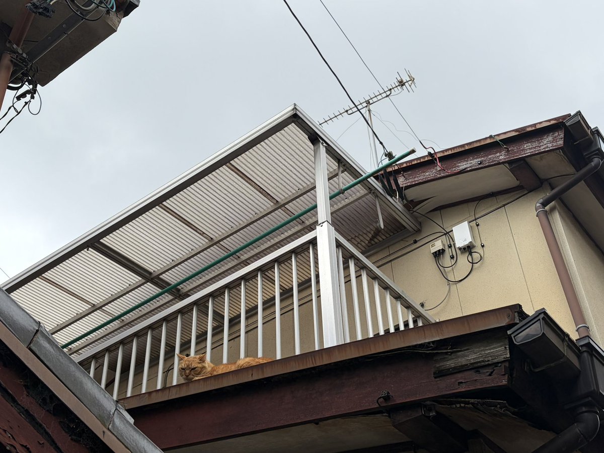 infoconnect_mie's tweet photo. おはようございます！
今朝の三重松阪の天気は曇り☁️
本日もよろしくお願いいたします✨
#猫
#イマソラ
#企業公式春のフォロー祭り
#企業公式が毎朝地元の天気を言い合う https://t.co/FQhEQCk04k