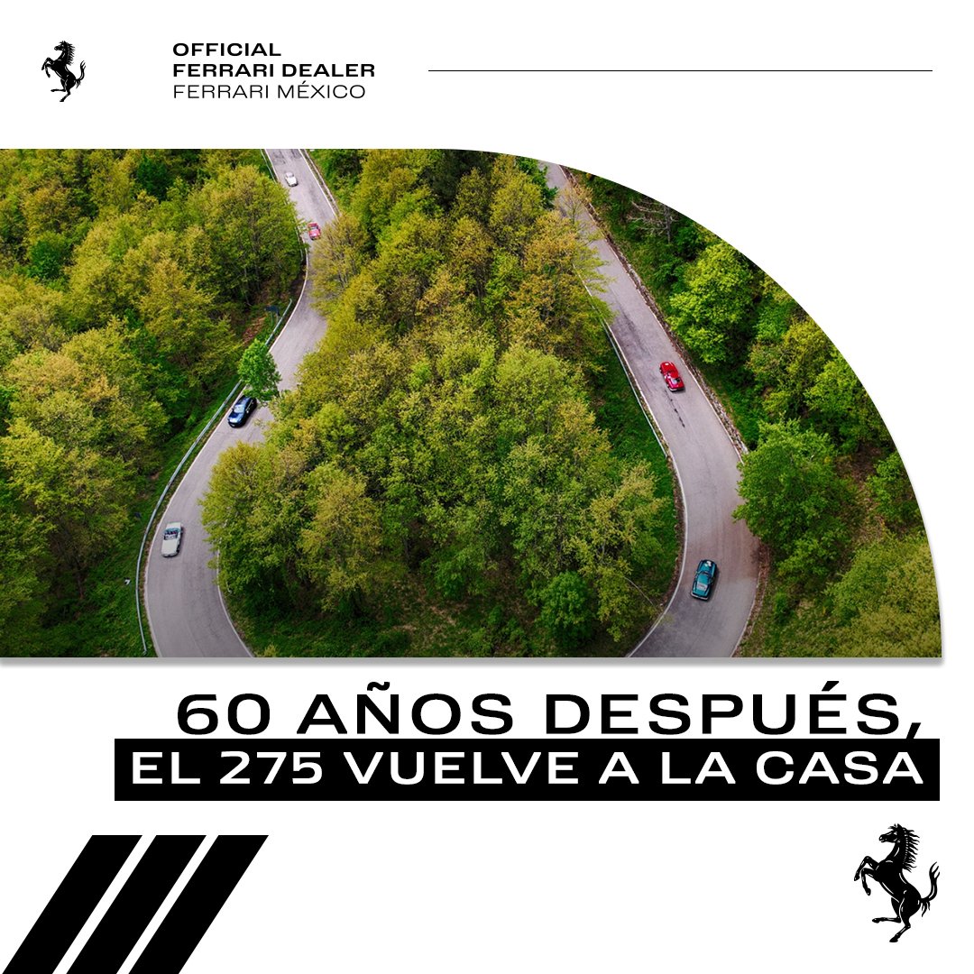FerrariMexico's tweet photo. Treinta y tres ejemplares del Ferrari 275 realizan un viaje por carretera a Maranello para celebrar 60 años desde el lanzamiento del legendario 275 GTB4.
Nota completa https://t.co/RbDfFvo0pk https://t.co/lPmp5EAX5U