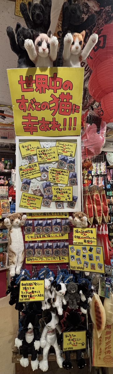 mtstmk's tweet photo. ヴィレッジヴァンガード高円寺店さまにて盛大に推して頂いております。あのポップと陳列になれてうれしいです。 https://t.co/aYwfXwheEi