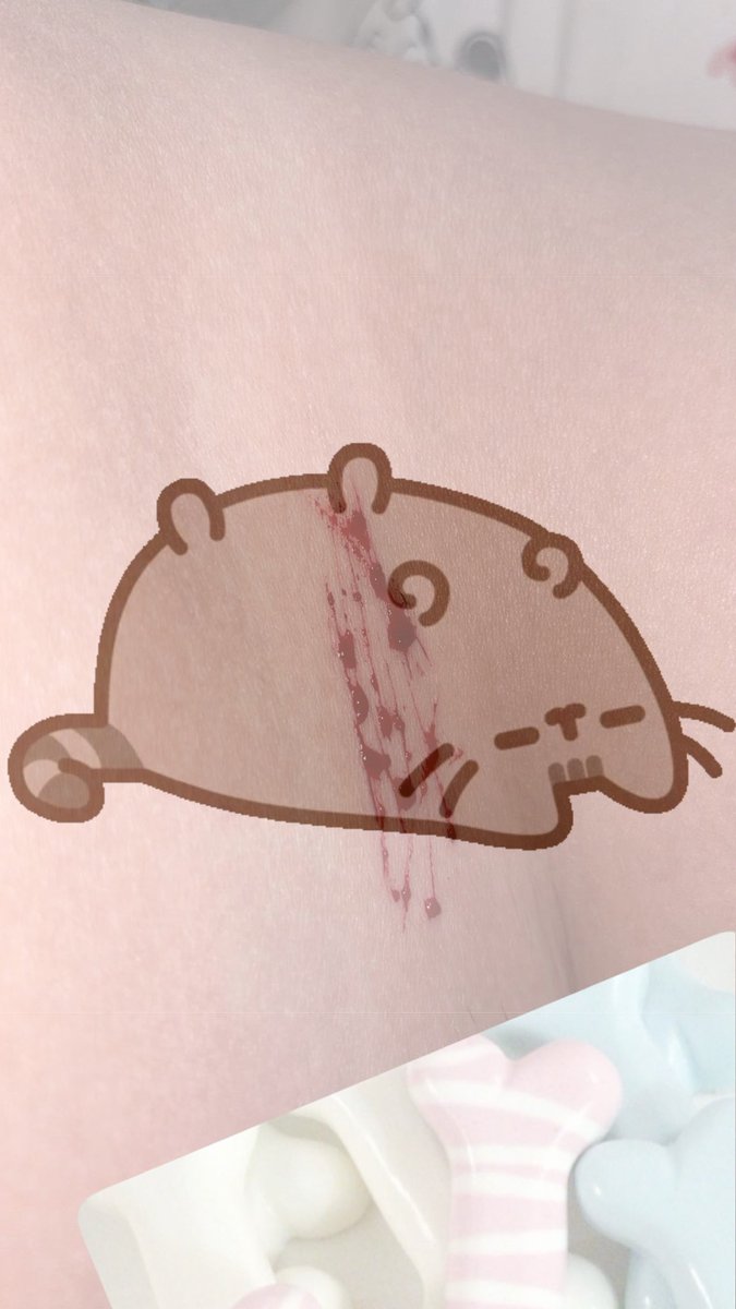 𓏵‧₊˚ 𝑯𝒂𝒏𝒂 ⸝⸝ 𓊆ྀི❤︎𓊇ྀི tweet media