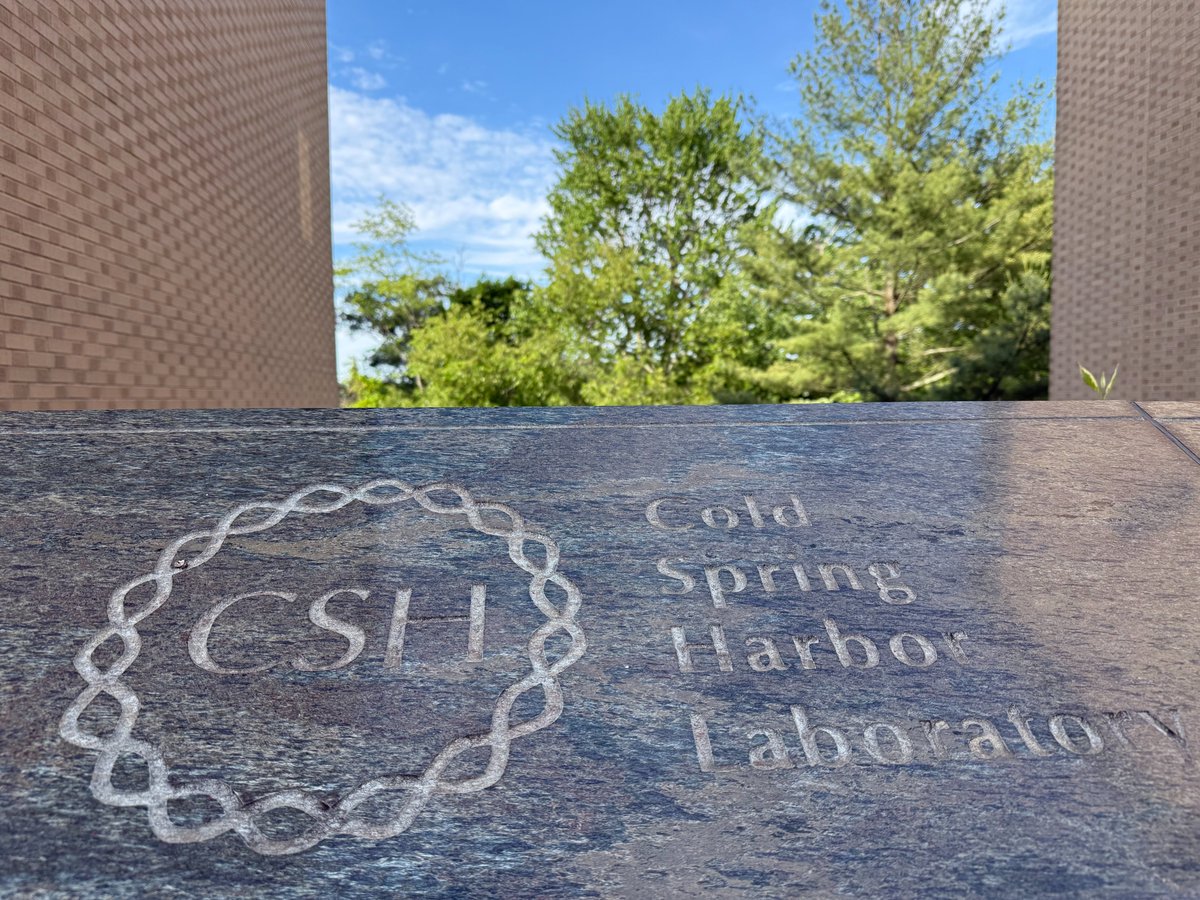fabian_theis's tweet photo. Excited to be at the 90th Cold Spring Harbor Symposium on AI in Biology 🧬🤖

Amazing speakers &amp; discussions amongst others on how AI moves from analyzing biology to actively helping shape next experiments. 🚀

Will talk about closing the loop in single-cell perturbation bio. 🧫 https://t.co/srqPHO4vha