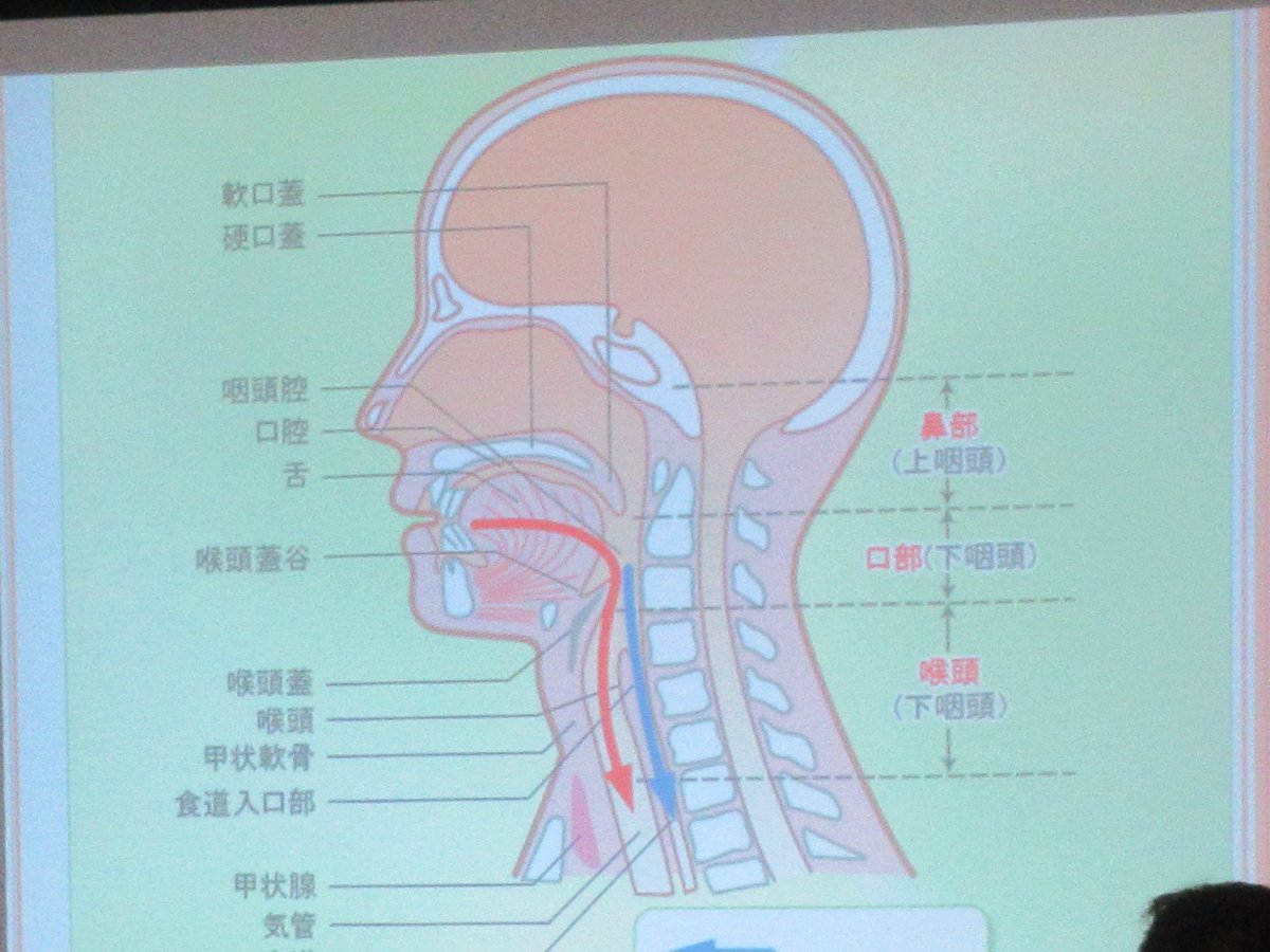 oniyanagi_kc's tweet photo. 鬼大開講式を行いました。特別講座として「おとなの歯と口のおはなし」を受講しました。写真は「誤嚥（ごえん）」について説明をうけているところです。 https://t.co/BceM1ozhsu