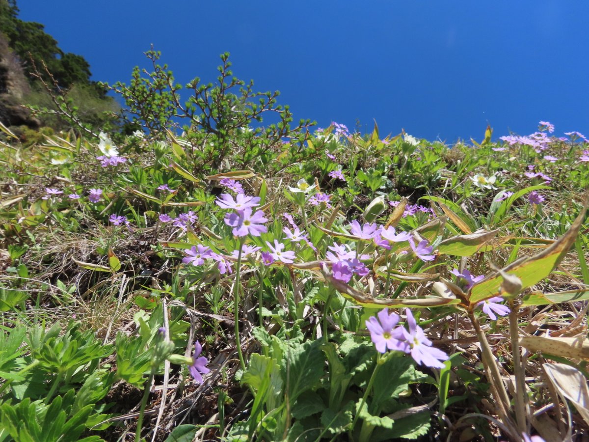 浅間山の噴火警戒レベルが1に引き下がったことで前掛山登山が可能に