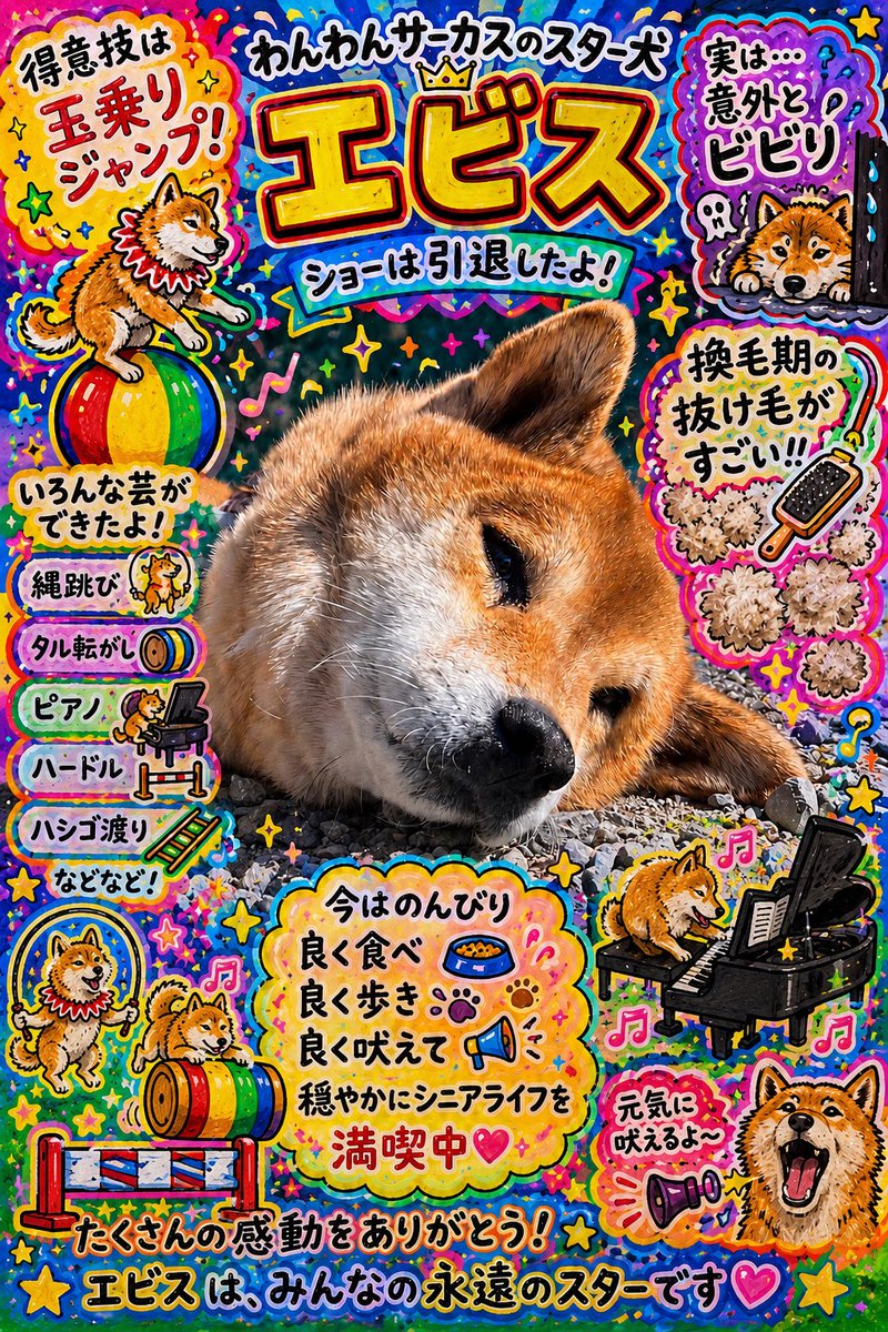 皆さん大変お待たせしました！ わんちゃんの顔と名前が一致しないの声
