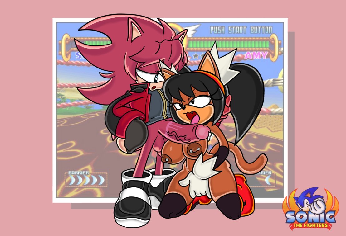 blackchaos64's tweet photo. Sonic the Fuck Fighters https://t.co/wFHribaRrn