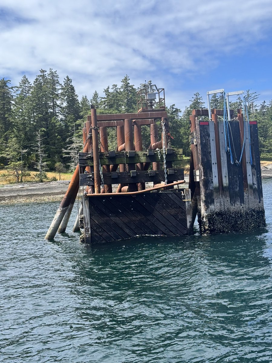 hornbycoffee's tweet photo. @BCFerries How is it even possible not to be able to repair a dolphin in 36 hours??? It’s quite unbelievable really https://t.co/ZCfcKhp1WC