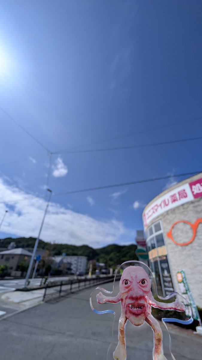くぬぎ眼鏡店 tweet media