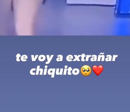 🧸 tweet media