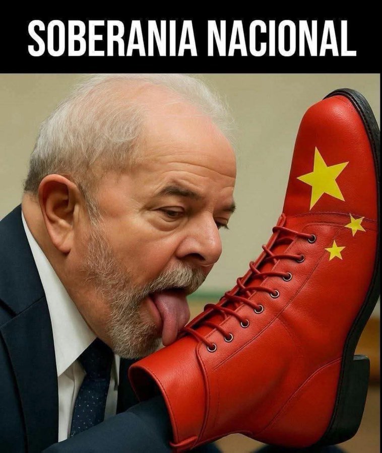 Rafael C. 🇧🇷🇵🇹🇪🇸 tweet media