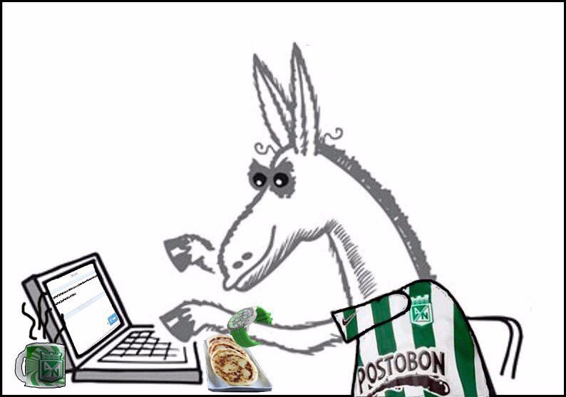 DIEGO NC tweet media