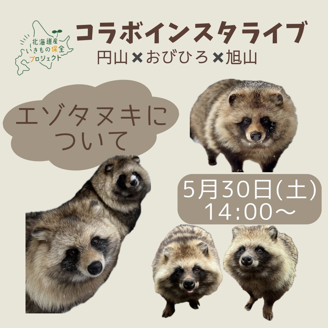 旭川市旭山動物園［公式］ tweet media