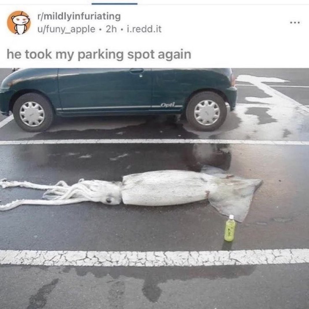 ShitpostGateway tweet media