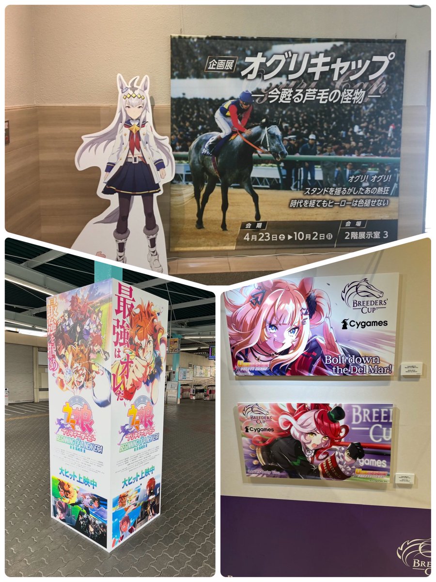 cube🐴 tweet media