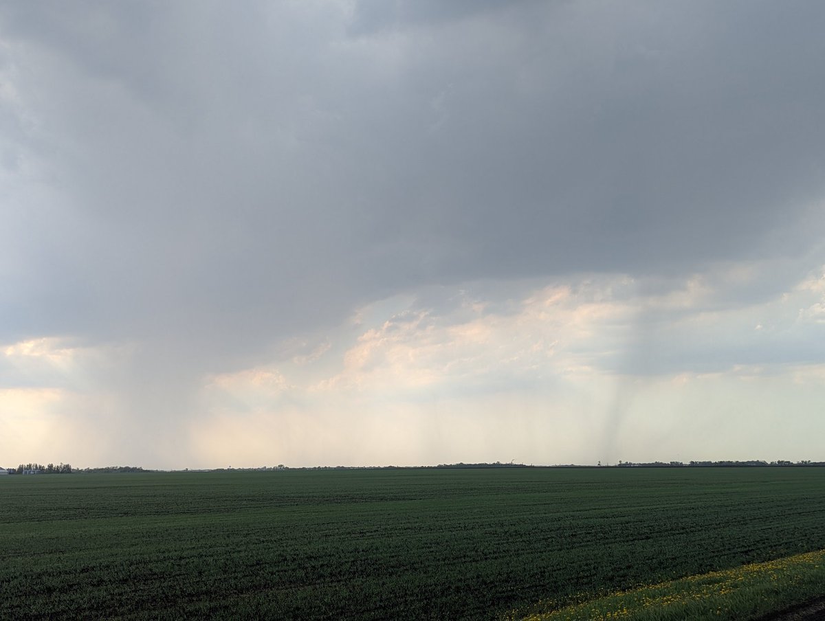 torchaser's tweet photo. Some neat looking storms this evening.   Nothing severe, just a good thunderstorm.  More storms are possible overnight (after sunset).  #VNLFirstAlert #mnwx #ndwx #sdwx https://t.co/aNPOtMGhvQ