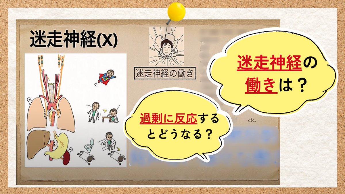 fitns_mc's tweet photo. ＼迷走神経、視神経、内耳神経…etc／
各神経の役割や押さえておくべきポイント、12脳神経は具体的にどう連携しているかがわかる！

各動画10分程度なので、すき間時間にも学べます🧠

画像の答えは下記から🔽
https://t.co/P73IbjjrNn

#看護師　#看護師勉強垢　#12脳神経 https://t.co/kJFaofxIEA