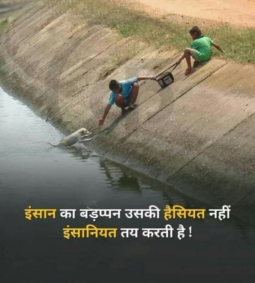 RamKumarRa41393's tweet photo. प्रातः प्रणाम 🌄🌄🌹🌹👏👏
शुभ बुधवार 🎉 
प्रभु श्री गणेश मंगल कामनाओं के साथ आज का दिन बीते आप सभी का 🙏🙏🙌🙌❣️
जय भीम 💙🙏🙏 https://t.co/2GDkdhkJt8