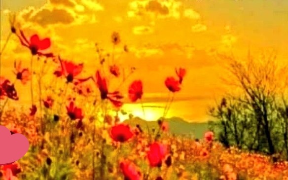Satya Namah tweet media