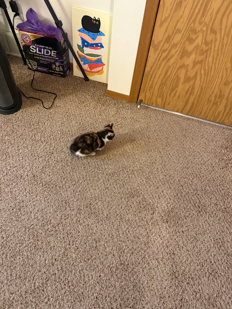 doubletakeash's tweet photo. this is the smallest baby to ever exist https://t.co/rVrrCYVEzl