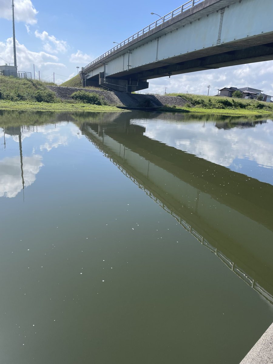 T6yWas's tweet photo. 2026年5月25日
本日は昔懐かしい名釣り場へ鬼郁隊仲良し３人で行って来ました。
先ずは上の島新川へ😀何しろ40年以上前に釣行した場所景色も大分変わって面影無しでした。一様竿は出したが魚っ気無しで横利根川へ。
残念ながら今回は３人共沈黙で終了😨🎣
次回は丸堀で例会です。🤗 https://t.co/r5kIQYP8Q6