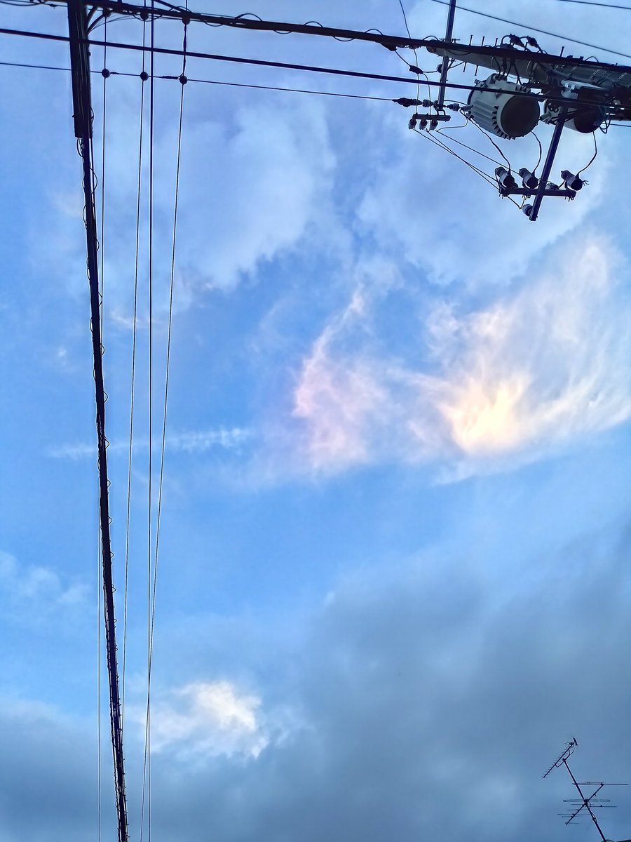 💙空色言葉🍀ゆうサブ垢 tweet media