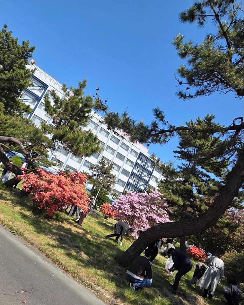 Balance_deOcean's tweet photo. 函館キャンパスでは5月20日に「キャンパス・クリーン・デー」を実施しました。
とても気持ちのいい天気の中キャンパス内を学生・職員みんなで清掃しました。

#北海道大学
#北海道大学函館キャンパス
#水産学部
#地域水産業共創センタ
#LASBOS https://t.co/ov7h1Hku2z