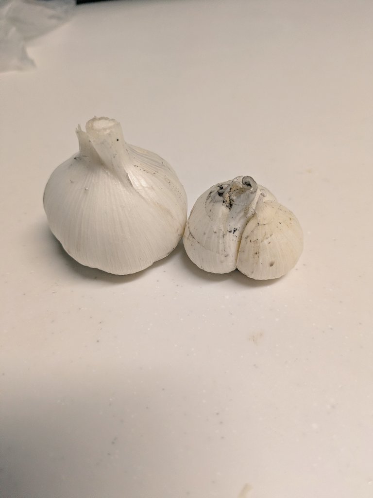 tyokopinn's tweet photo. パンが好きではない息子がビザトースト食べたいと
ってことで、今朝は2種類作りました
My畑で採れた🧄🍅🧅🫑をたっぷり使いました👍
ネタ作りも順調ざます😊 https://t.co/wClPj2m4Q6