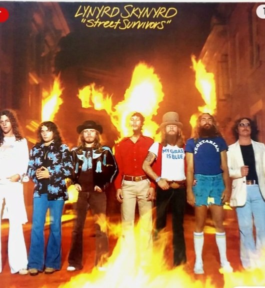 Zappa's Wisdom Trooth tweet media