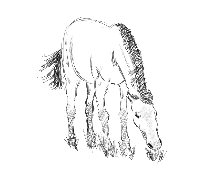 jadougie2uh's tweet photo. horse study https://t.co/TVvZNeHMiK