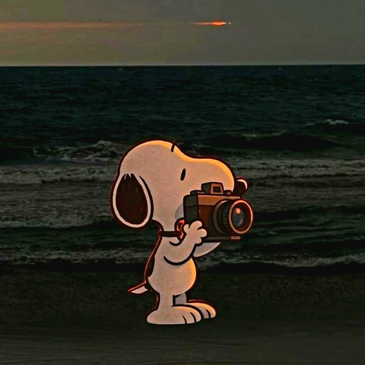 Snoopy_Fans10's tweet photo. Snoopy https://t.co/HGL0f2JPT7