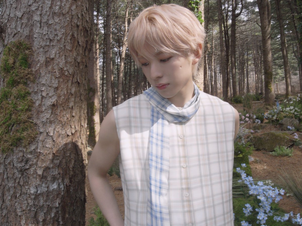 yushiew's tweet photo. lost somewhere between the trees and my own thoughts. https://t.co/4GZbMxjEVq