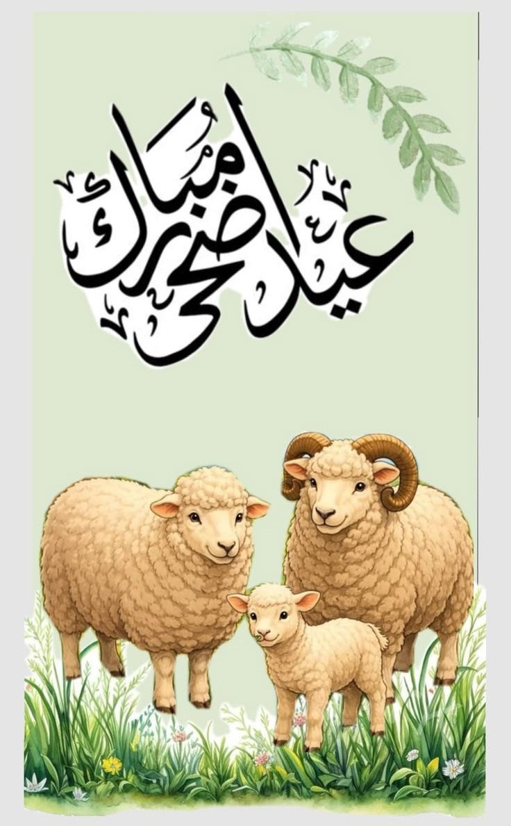 Zayneb1974's tweet photo. https://t.co/muP7ilJSl5